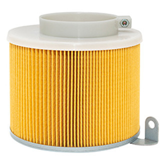 Baldwin Filters® - Air Filter Element
