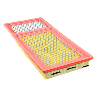 Baldwin Filters® - Air Filter Element