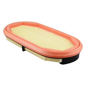 Baldwin Filters® - Radial Seal Air Filter Element with Fins