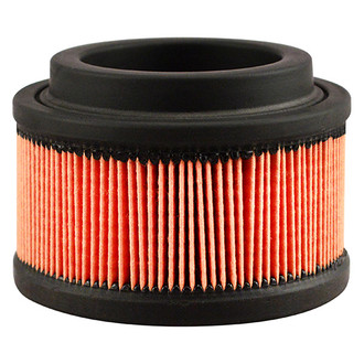 Baldwin Filters® - Air Breather Filter