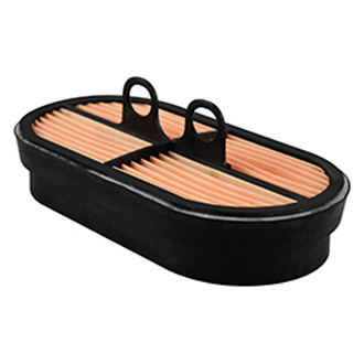 Baldwin Filters® - Channel Flow Air Filter Element