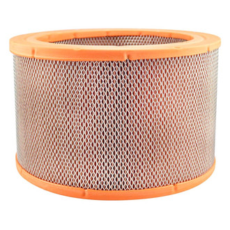 Baldwin Filters® - Air Filter Element