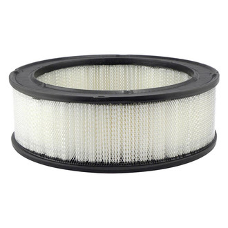 Baldwin Filters® - Radial Seal Air Filter