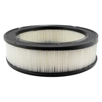 Baldwin Filters® - Air Filter Element