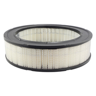 Baldwin Filters® - Air Filter Element