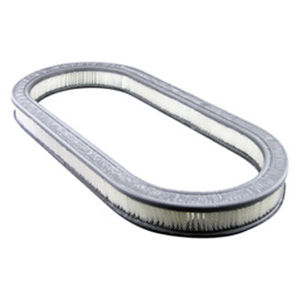 Baldwin Filters® - Air Filter Element