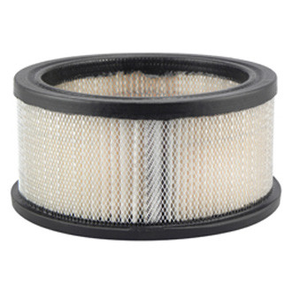 Baldwin Filters® - Air Filter Element