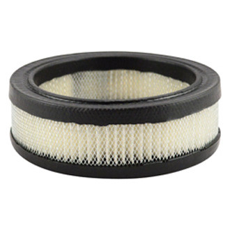 Baldwin Filters® - Air Filter Element