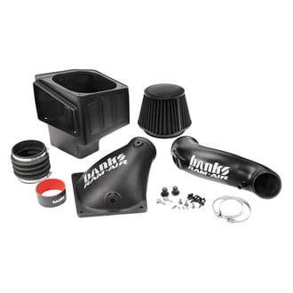 Banks® - Plastic Black Short Ram Air Intake System with Dry Black Filter