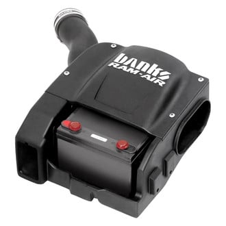 Banks® - Plastic Black Short Ram Air Intake System with Dry Black Filter