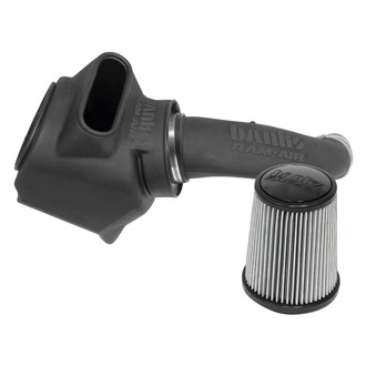 Banks® - Plastic Black Short Ram Air Intake System with Dry Grey Filter