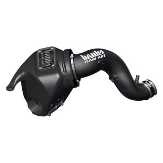 Banks® - Plastic Black Short Ram Air Intake System with Dry Black Filter