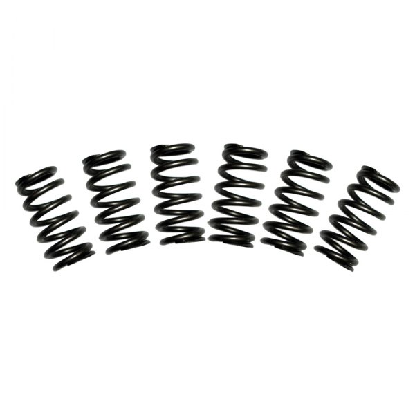 BD Diesel Performance® - Valve Springs