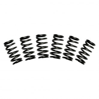 BD Diesel Performance® - Valve Spring