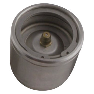 Bearing Buddy® - Bearing Protectors