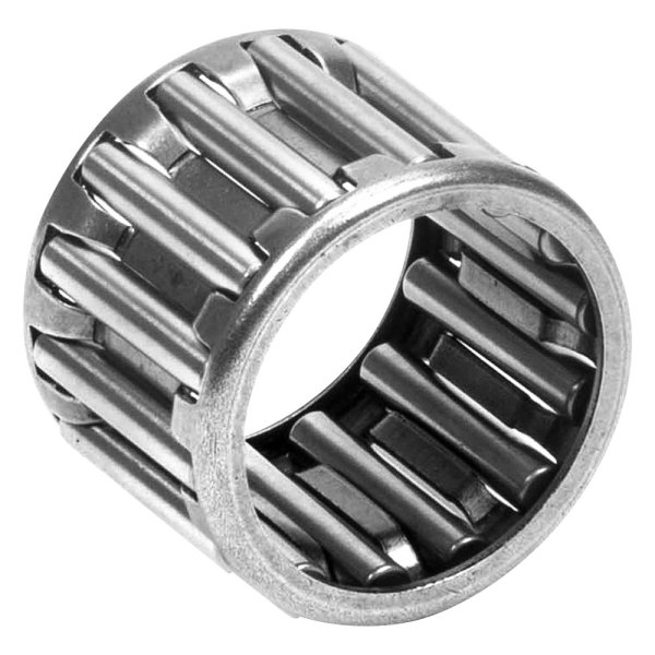 Bert Transmission® - Caged Needle Roller Bearing