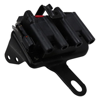 Beru® - Ignition Coil