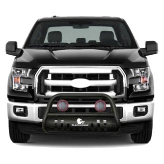 Ford Expedition Grille Guards | Bull Bars, Bumper Guards - CARiD.com