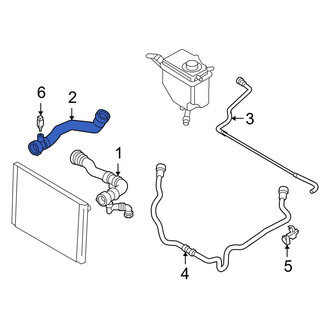 BMW OE - Lower Radiator Coolant Hose