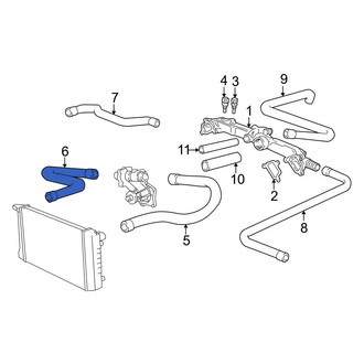 BMW OE - Lower Radiator Coolant Hose