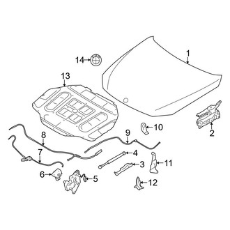 BMW OE - Hood & Components