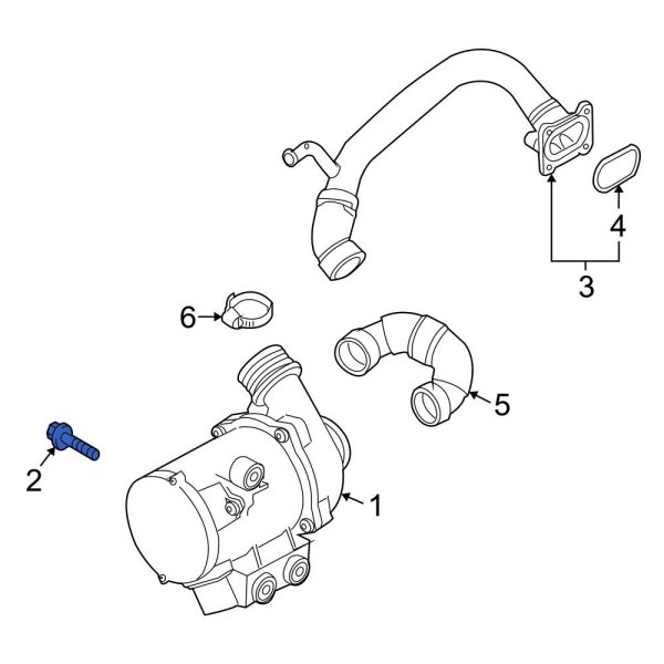 Engine Water Pump Bolt