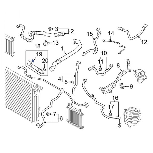 Radiator Coolant Hose O-Ring