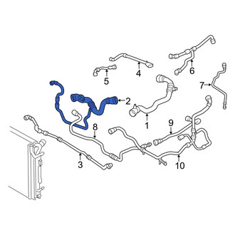 BMW OE - Lower Radiator Coolant Hose
