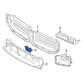 BMW OE - Front Grille Molding