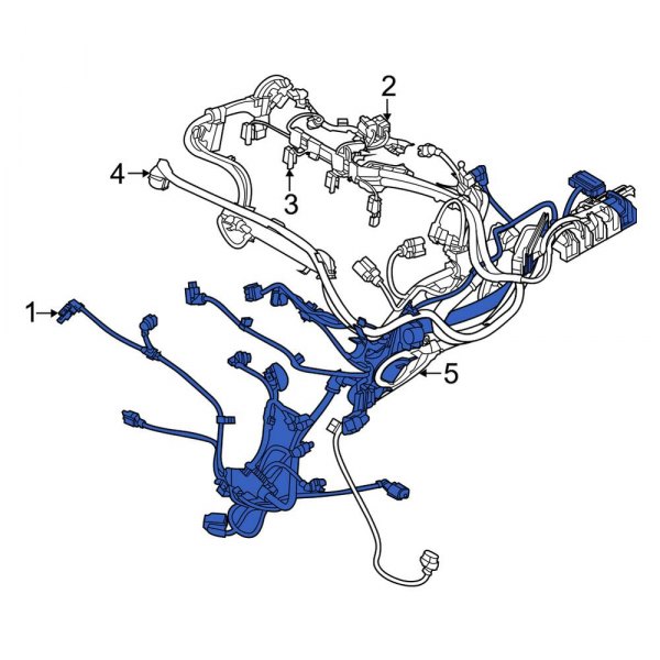 Engine Wiring Harness