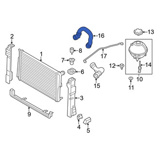 BMW OE - Lower Radiator Coolant Hose
