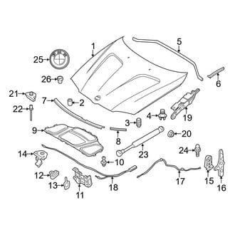 BMW OE - Hood & Components