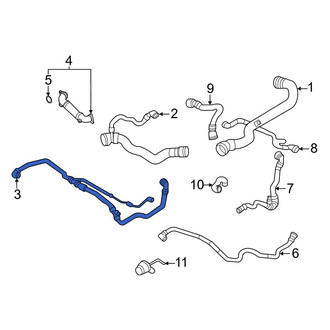 BMW OE - Lower Radiator Coolant Hose