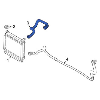 BMW OE - Lower Radiator Coolant Hose
