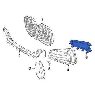 BMW OE - Front Left Grille Molding