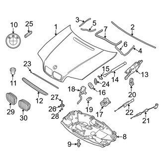 BMW OE - Hood & Grille - Grille & Components