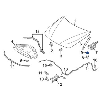 BMW OE - Hood Hinge Nut