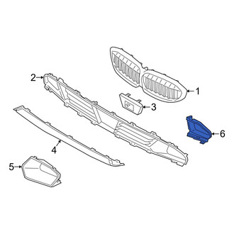 BMW OE - Front Left Grille Molding