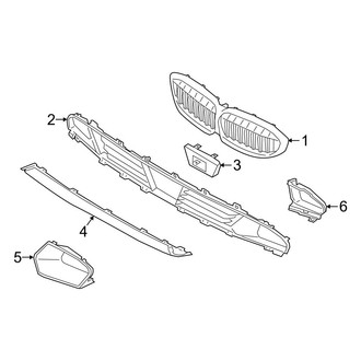 BMW OE - Front Bumper & Grille - Grille & Components (W/O M Sport Package), (Base)