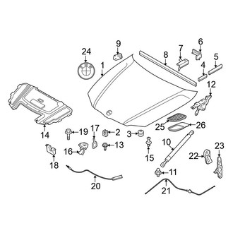 BMW OE - Hood & Components