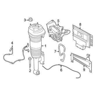 BMW OE - Rear Suspension - Struts & Components (RWD)