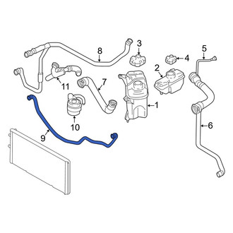 BMW OE - Radiator Coolant Hose