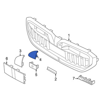 BMW OE - Front Grille Molding