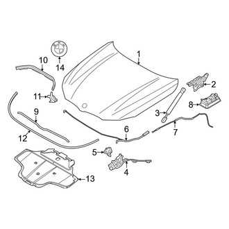 BMW OE - Hood & Components
