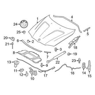 BMW OE - Hood & Components