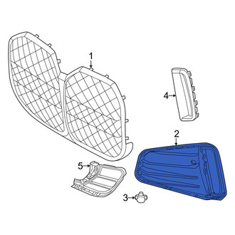 BMW OE - Front Center Grille