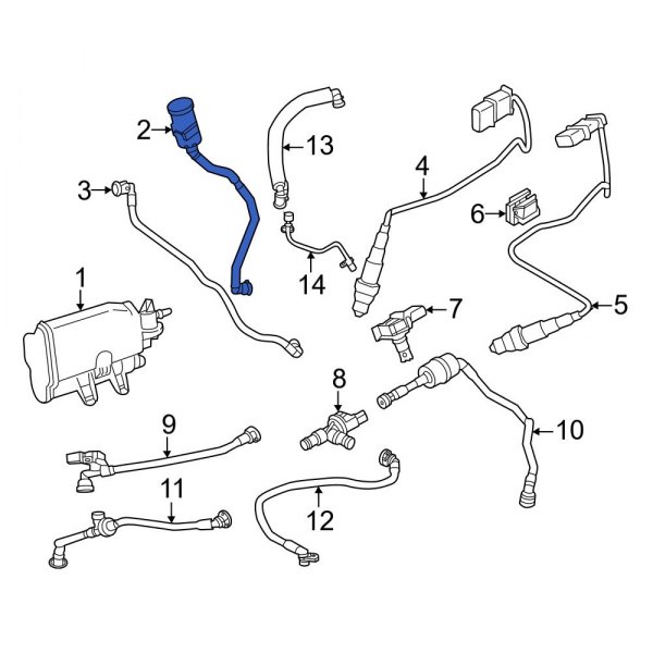 Evaporative Emissions System Lines