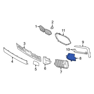 BMW OE - Front Left Grille Molding