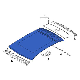 BMW OE - Roof Panel