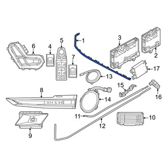 BMW OE - Rear Right Courtesy Light